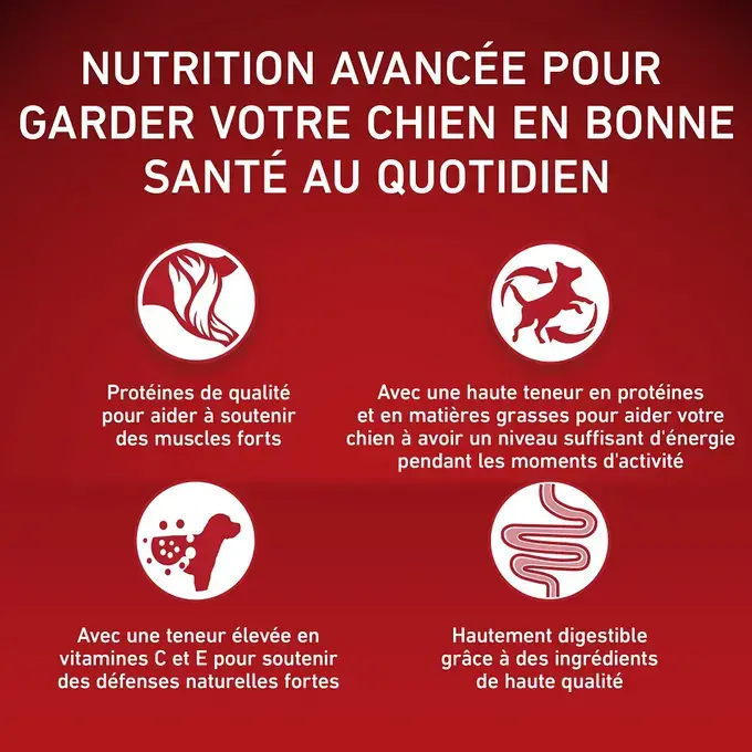 PURINA ONE® MEDIUM MAXI > 10kg Active, Croquettes pour chien actif Riche en Poulet avec du Riz