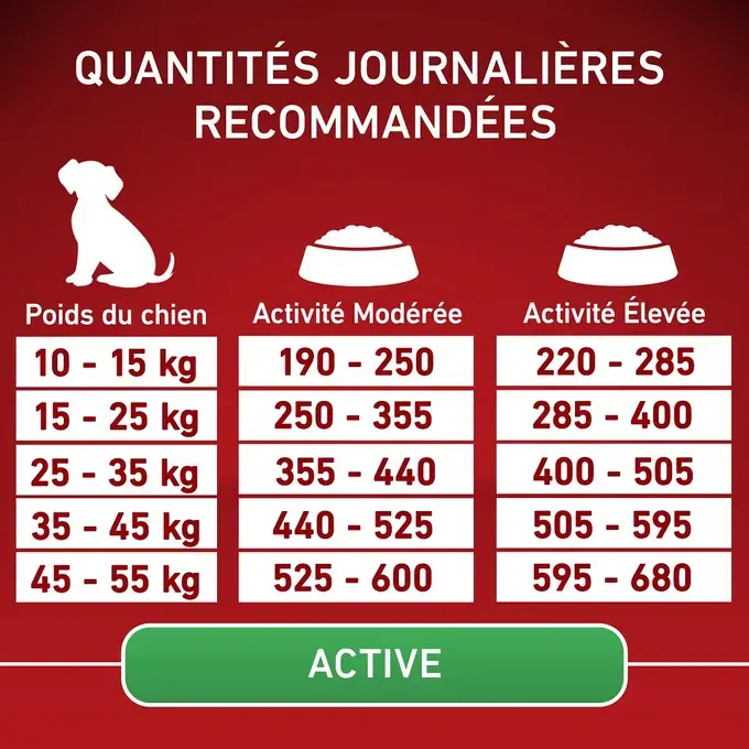 PURINA ONE® MEDIUM MAXI > 10kg Active, Croquettes pour chien actif Riche en Poulet avec du Riz