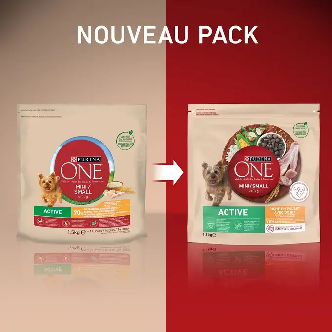 PURINA ONE® MINI/SMALL < 10kg Active, Croquettes pour petit chien actif Riche en Poulet avec du Riz