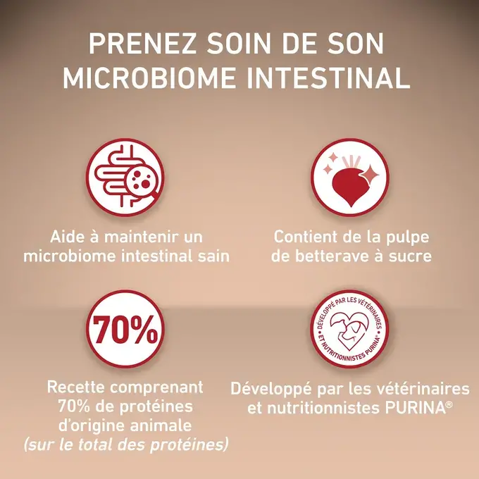 PURINA ONE® MINI/SMALL < 10kg Active, Croquettes pour petit chien actif Riche en Poulet avec du Riz