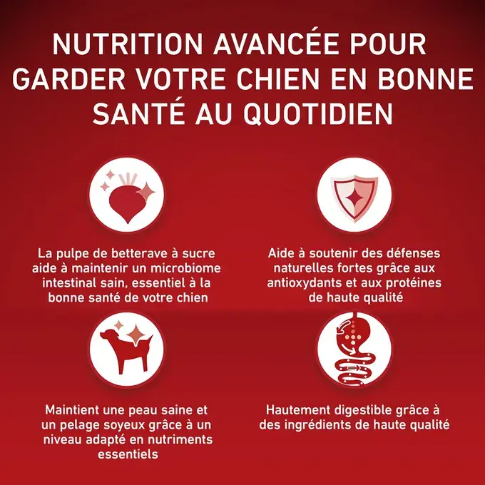PURINA ONE® MINI/SMALL < 10kg Active, Croquettes pour petit chien actif Riche en Poulet avec du Riz