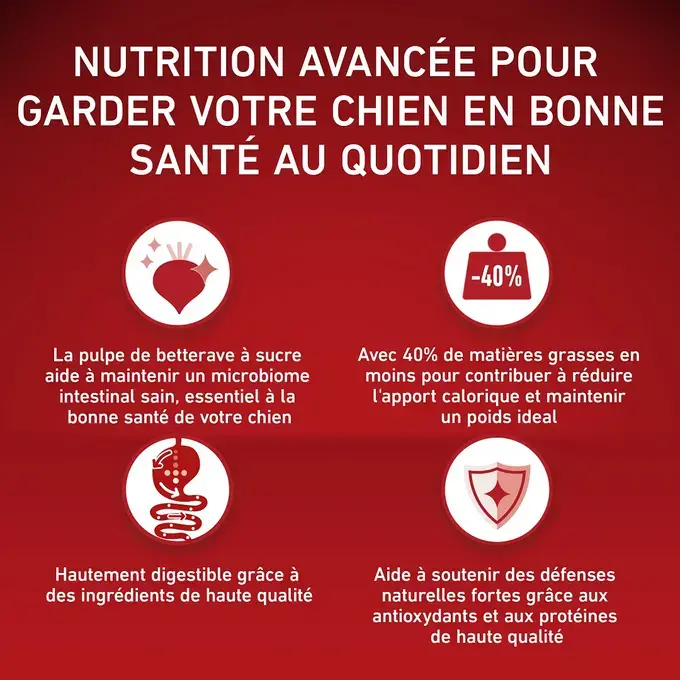 PURINA ONE® MINI/SMALL < 10kg WEIGHT CONTROL Croquettes pour chien en surpoids ou stérilisé Riche en Dinde avec du Riz