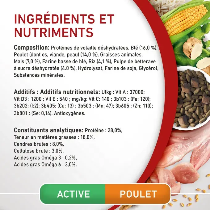 PURINA ONE® MINI/SMALL < 10kg Active, Croquettes pour petit chien actif Riche en Poulet avec du Riz