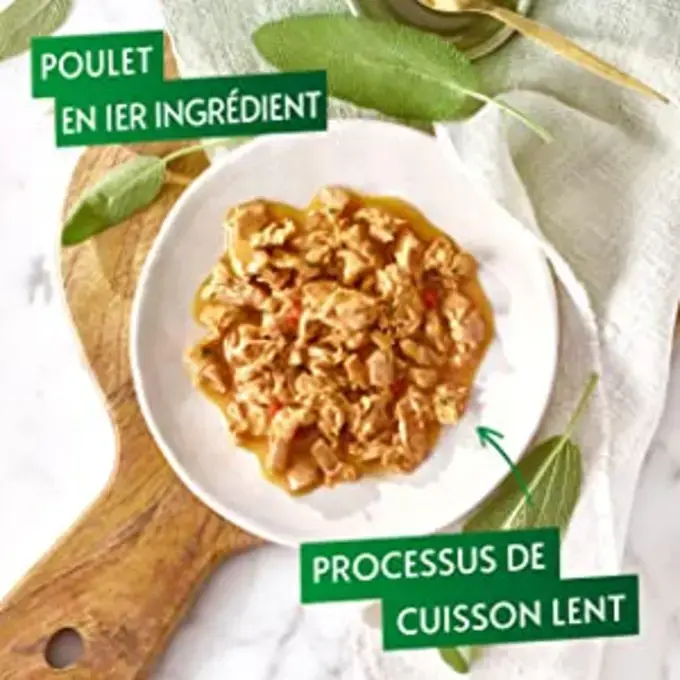 Gourmet NATURE'S CREATIONS Poulet