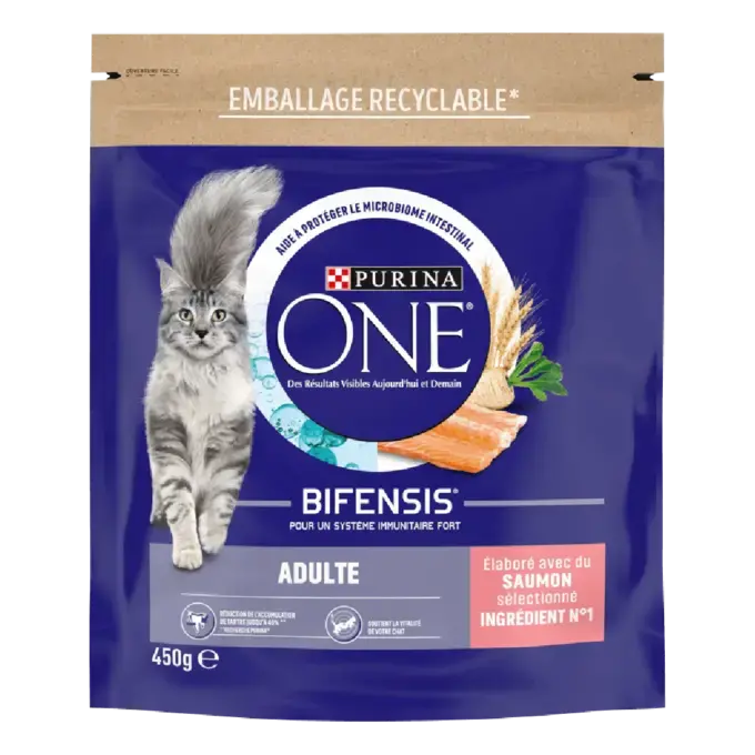 Purina ONE® - Croquettes pour Chat Adulte au Saumon et aux Céréales