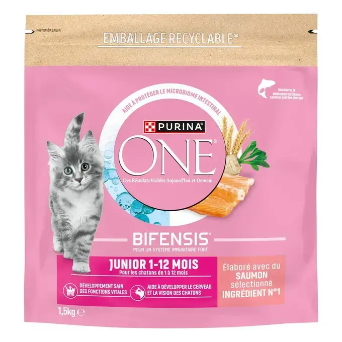 Purina ONE® - Croquettes Junior pour Chaton de 1 à 12 mois au Saumon
