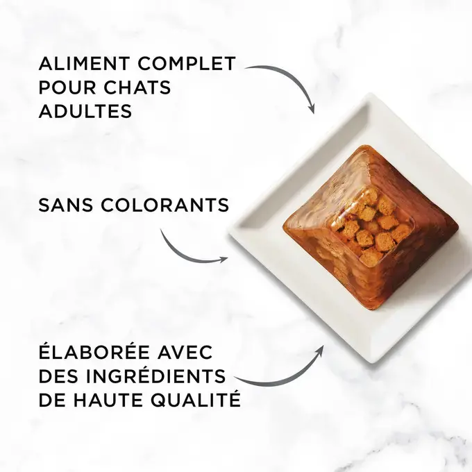 GOURMET® REVELATIONS® au Saumon - Bouchées en gelée
