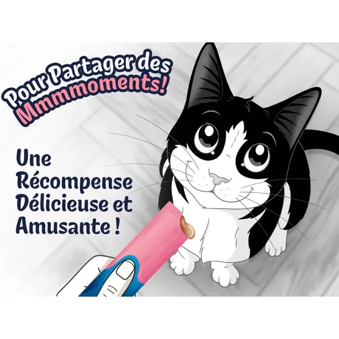 Felix® Deli Moments™ au Saumon – Friandises pour Chat
