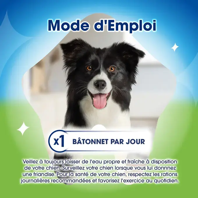 DENTALIFE® ActivFresh® Moyen Chien (12-25kg) - Bâtonnets à mâcher