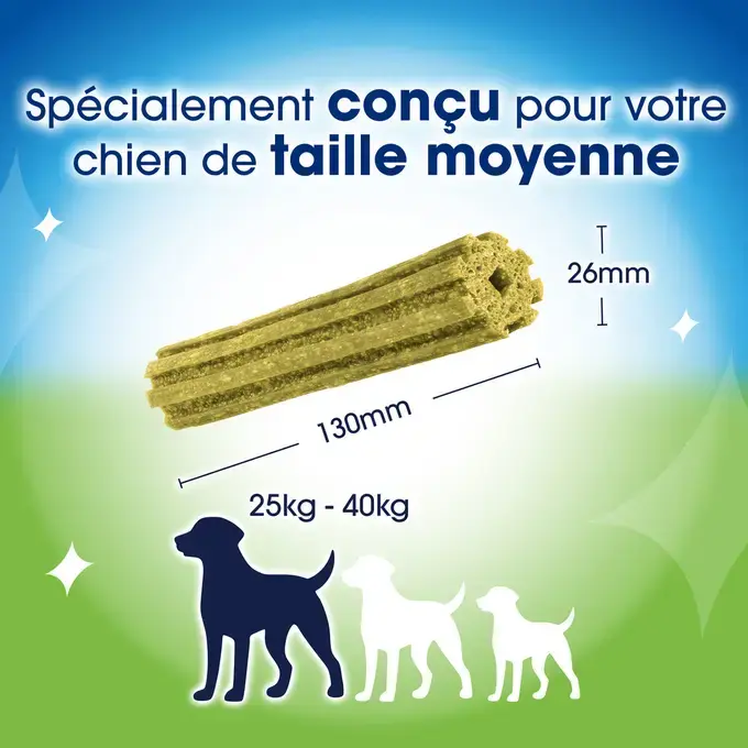 DENTALIFE® ActivFresh® Grand Chien (25-40kg) - Bâtonnets à mâcher