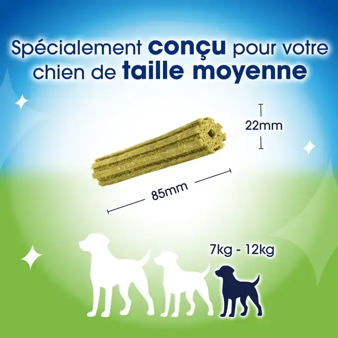 DENTALIFE® ActivFresh® Petit Chien (7-12kg) - Bâtonnets à mâcher
