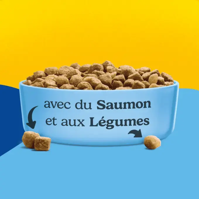 FRISKIES® pour chat Stérilisé 1,5kg - Croquettes avec du Saumon et aux Légumes