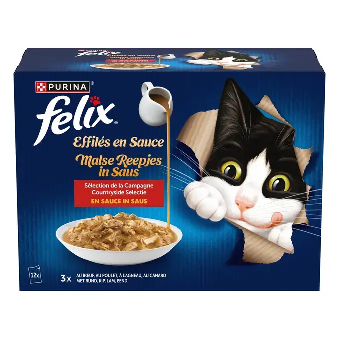 PATE CHAT FELIX EFFILE EN SAUCE CAMPAGNE