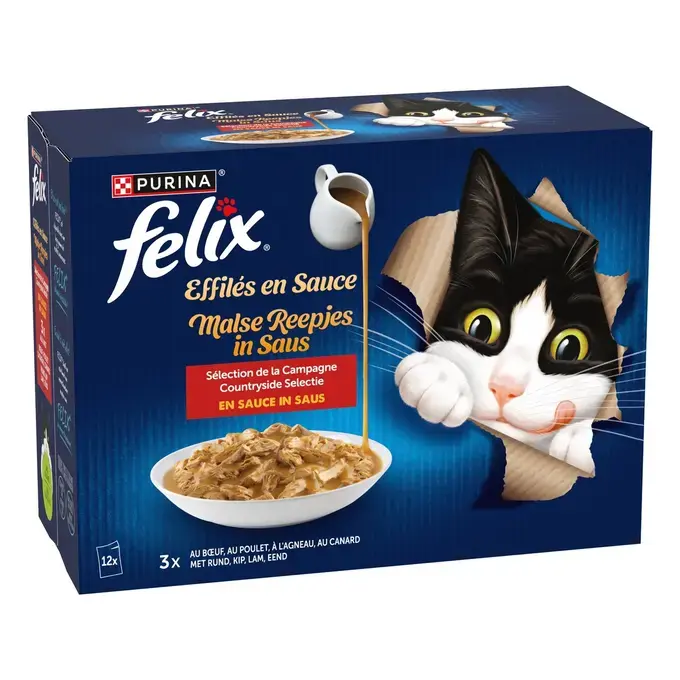 PATE CHAT FELIX EFFILE EN SAUCE CAMPAGNE