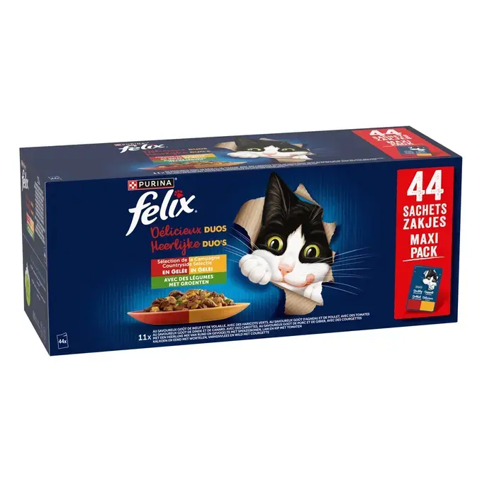 PATEE CHAT FELIX TENDRE EFFLILES CAMPAGNE MAXI