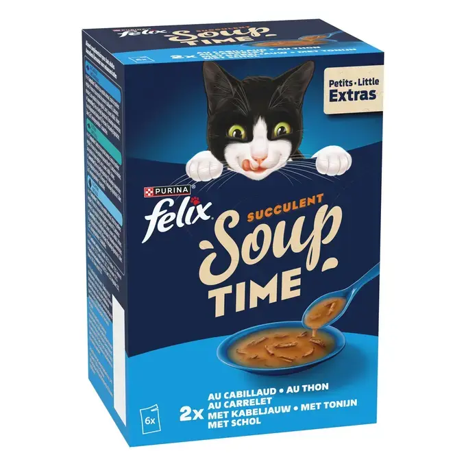 Felix SOUP Succulent
