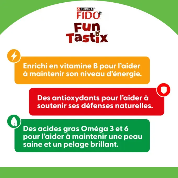 MHI friandise chien funtastix