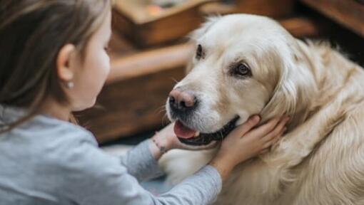 Jeune fille tenant le visage de son chien