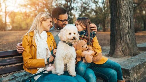 Caniche assis avec la famille