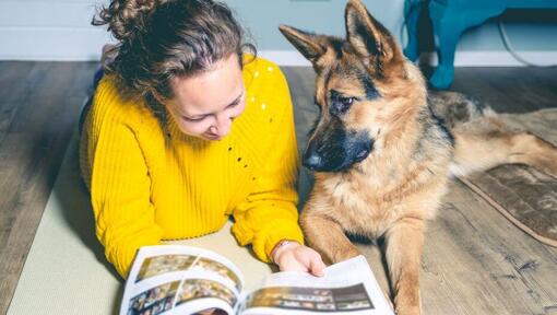 Chiot berger allemand avec le propriétaire