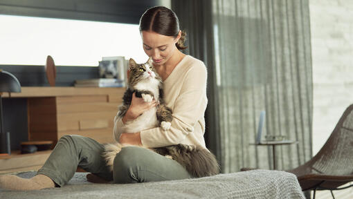 femme assise sur le lit câlins chat