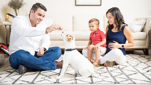 famille et enfant jouant avec un chiot 