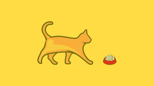 Friskies 5 Promises