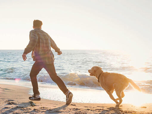 Posssesseur et son chien près de la mer