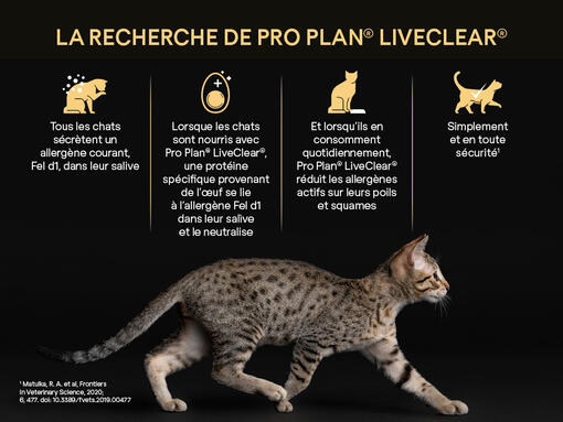 La recherche PURINA® PRO PLAN® LIVECLEAR®