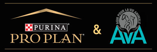 PRO PLAN et Ava