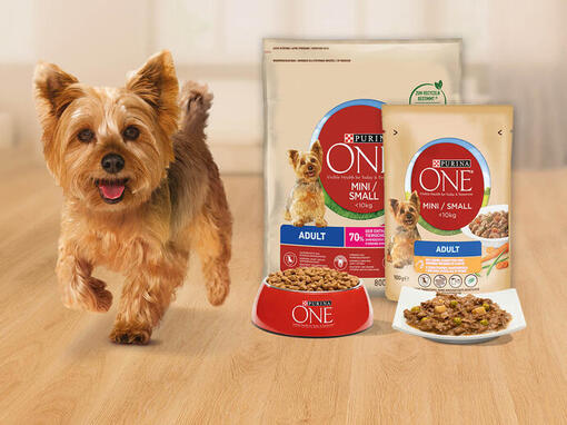 Nourriture sèche Purina ONE Chien
