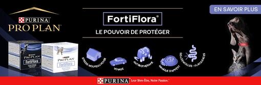 Bannière Pro Plan Veterinary Diets Fortiflora​