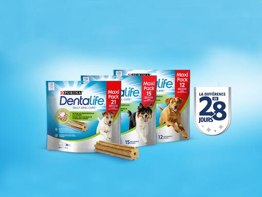 Dentalife Packshots 28 jours programme