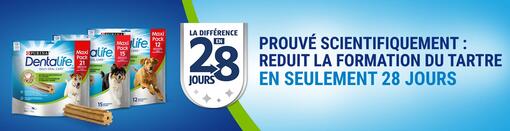 Prouvé scientifiquement : réduit la formation de tartre en seulement 28 Jours