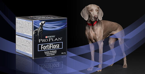 FORTIFLORA CANINE