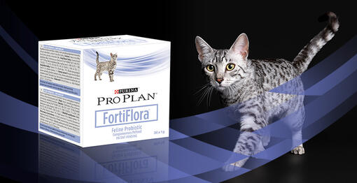 FORTIFLORA FELINE​