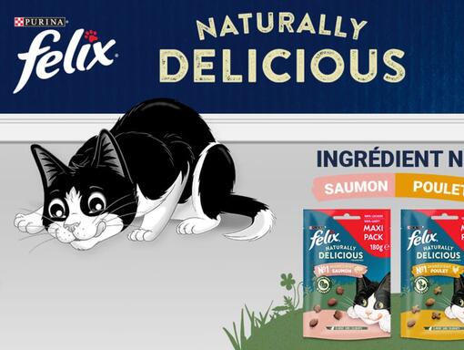 FELIX® C'est si bon d'être un chat – Jour de pluie 