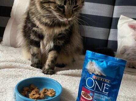Purina One