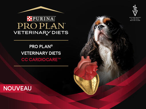Pro Plan Veterinary Diets Cardiocare
