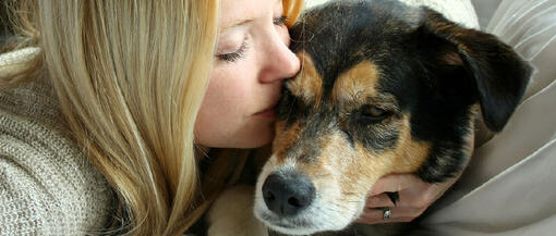 Une fille embrasse son chien