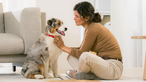 ANXIÉTÉ DE SÉPARATION CHEZ LES CHIOTS