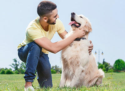 L’homme gratte sur la pelouse du gros chien blanc