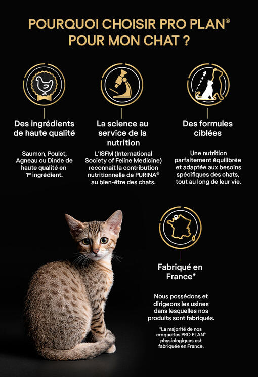 Pro Plan pâtée pour chat, Bas prix