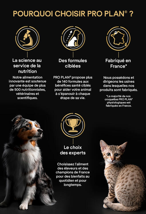 Huile de saumon : Les bienfaits pour vos chats et vos chiens - Physyo