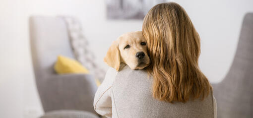 SOINS, HYGIÈNE ET PRÉVENTION :ÉVITER LES MALADIES DU CHIOT