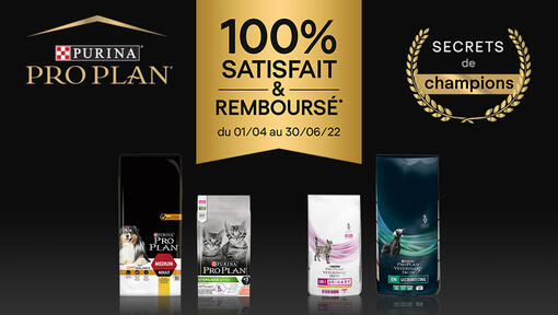 Opération Secret de Champion avec Pro Plan