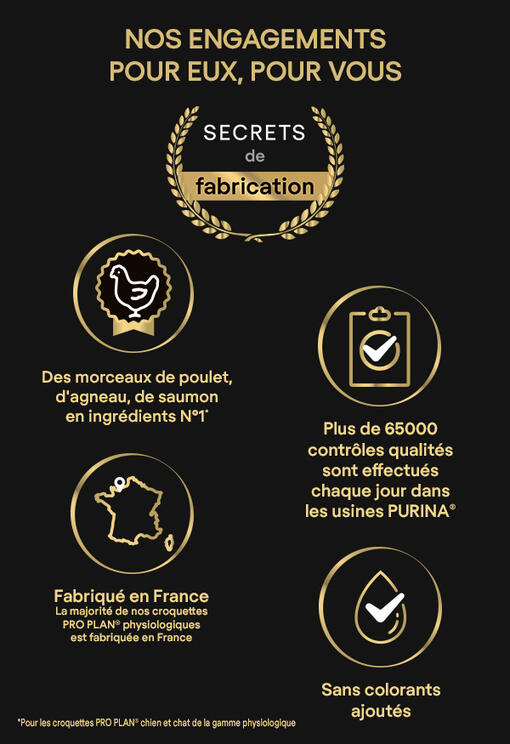 Opération Secret de Champion avec Pro Plan