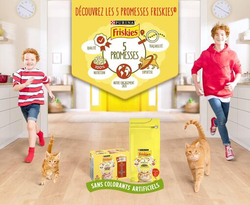 Les 5 promesses Friskies Chat