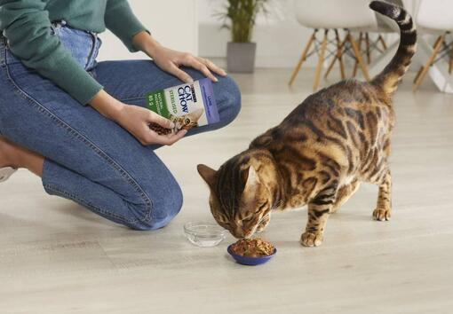 Cat Chow