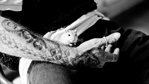 Prix Purina Better With Pets
